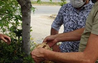 Çalınan telefonunu ‘telefonumu bul’ uygulamasından...