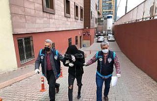 Cami hırsızları yakalandı