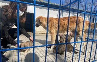 Can Dostlar Kuşadası Rehabilitasyon Merkezi’nde...