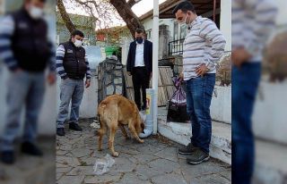 ’Can dostlar yaşasın’ projesi Altınoluk’ta