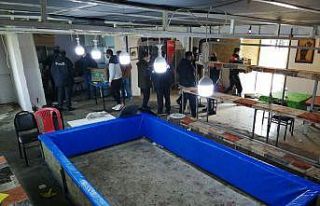 Çanakkale’de horoz dövüşünde 54 gözaltı