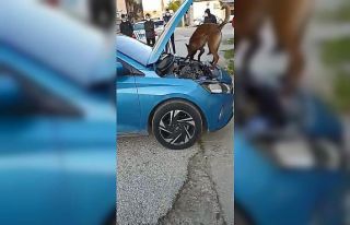 Çanakkale’de piyasa değeri 200 bin liralık kokain...