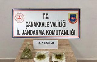 Çanakkale’de uyuşturucu operasyonu: 2 gözaltı