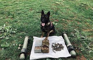 Çatak’ta antitank roketatar mühimmatı ve mermi...