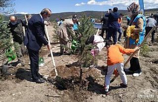 Çavdarhisar’da 10 bin fidan toprakla buluştu