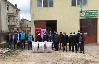 Çayır ve mera ıslah projesi kapsamında yulaf tohumu...