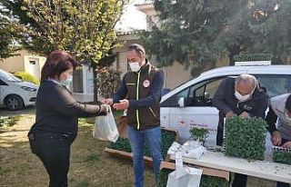 Çeşmeli kadınlara ücretsiz fide