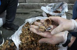 Ceviz kabuklarının içerisine gizlenmiş 153 kilo...