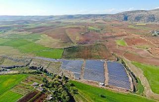Çiftçiler kendi enerjilerini üretiyor