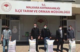 Çiftçilere çeltik tohumu dağıtıldı