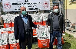 Çiftçilere yüzde 75 hibe ile ayçiçeği tohumu...