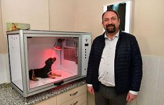 Çiğli Belediyesinden hayvan dostu proje: Yoğun...