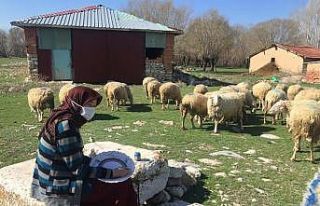 Çini tabak yaparak aile ekonomisine katkı sağlıyorlar