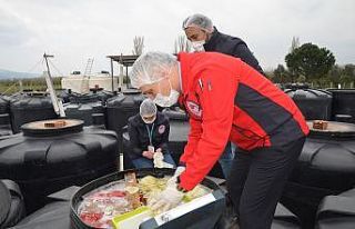 Çıplak ayakla turşu kazanına girdi işletme mühürlendi
