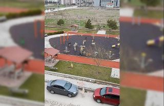 Çocuklar için yapıldı, köpekler kullanıyor