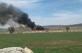 Çorum’daki ‘kuş cenneti’nde korkutan yangın