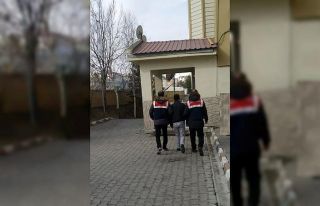 Cumhurbaşkanına hakarete ve terör örgütü propagandasına...