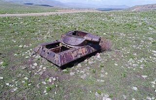 Dağ eteğindeki 70 yıllık tanklara doğa sahip...