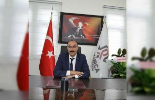 Dağ keçileri sınır bölgesinde sürü halinde...