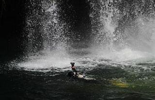 Dalgıçlar düden şelalesine daldı, tek canlı...