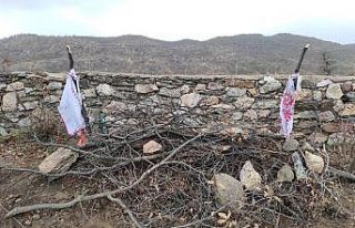 Dayak iddialarının ardından mezarı açılan yaşlı...