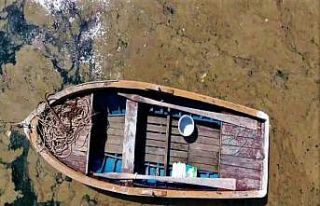 Deniz yüzeyini kaplayan tabaka balıkçılara darbe...