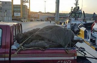 Denizde trol kapı ve ağları bulundu