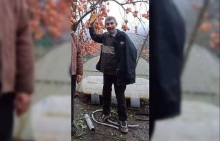 Devrilen ağacın altında kalan orman işçisi hayatını...