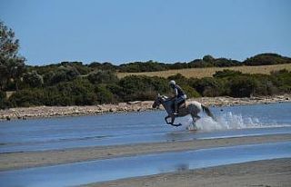 Didim’de alternatif turizm hareketliliği etkinlikle...