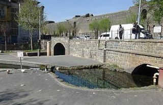 Diyarbakır Anzele Parkında çocuklar yüzmeyince...