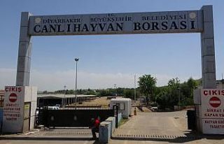 Diyarbakır’da ’ihbar ettin’ mevzusu kanlı...
