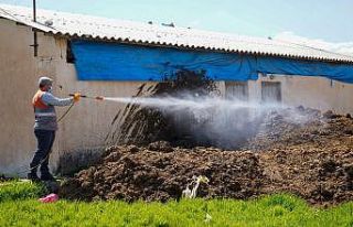 Diyarbakır’da ilaçlama çalışmalarına hız...