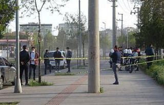 Diyarbakır’da parkta silahla 2 kişiyi yaralayan...