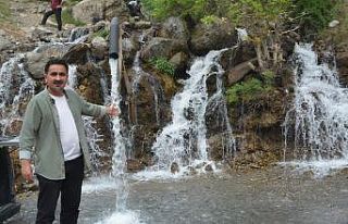 Doğal oto yıkama istasyonuna büyük ilgi