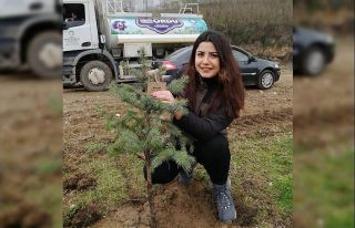 Dolunay mesire alanı, benzersiz bir yapıya sahip...