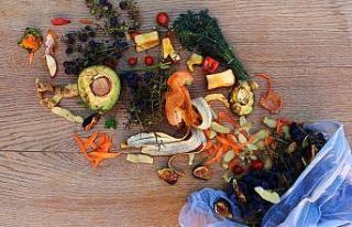 Dünyada her yıl 931 milyon ton gıda çöpe gidiyor