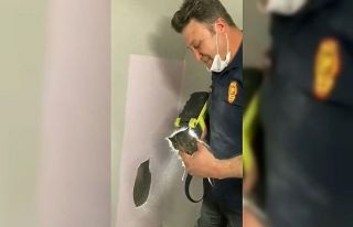 Duvardan gelen sesin kaynağı duvar delinince ortaya...