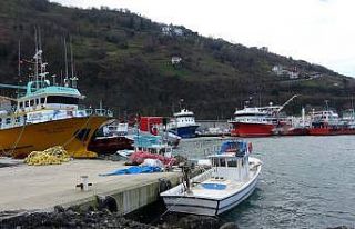 Düzce’de balık avı yasağı başlıyor