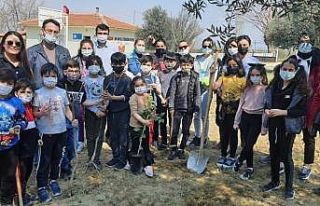 e-Twinning ağaç kardeşlerini buluşturdu