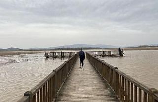 Efteni Gölü’nün su seviyesi iskeleye kadar yükseldi