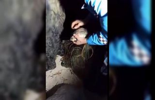 Eğirdir Gölü’nde metrelerce sahipsiz ağ ve kaçak...