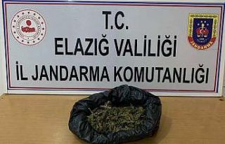 Elazığ’a uyuşturucu getiren şahıs yakalandı