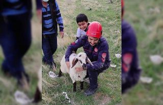 Elazığ’da kuyuya düşen kuzuyu itfaiye kurtardı