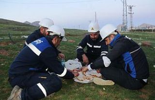Elektrik arıza ekibi iftarını direğin dibinde...