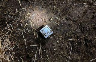 Elektrik kablosunu kemiren 7 büyükbaş hayvan telef...