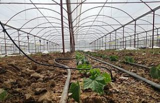 Elmalı’daki seralara dijital takip sistemi kuruldu