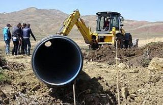 Erçek Gölü’ndeki inci kefalleri ölüm tehlikesinden...