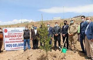 Erciş’te Afrin şehidi anısına 375 fidan dikildi