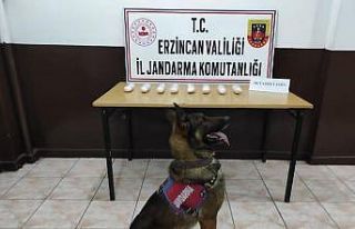 Erzincan’da polis ve jandarmadan uyuşturucu operasyonu