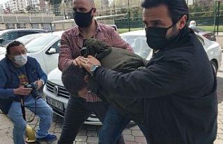 Eşini öldüren koca adliyeye sevk edilirken "Pişmanım"...